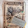 ♥We carried the vintage Costa Rican postage stamp "theme" to the inside of the invitation suite.  The "Welcome Fiesta" Invitation was on the back of the enlarged vintage pineapple stamp and the "Rehearsal Dinner" Invitation was on the back of another enlarged vintage stamp.